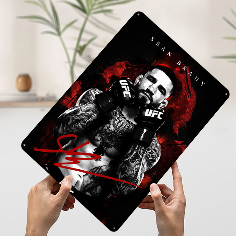 Sean Brady Fighter Portrait Ti - Retro Poster Gaming ulasan dan harga